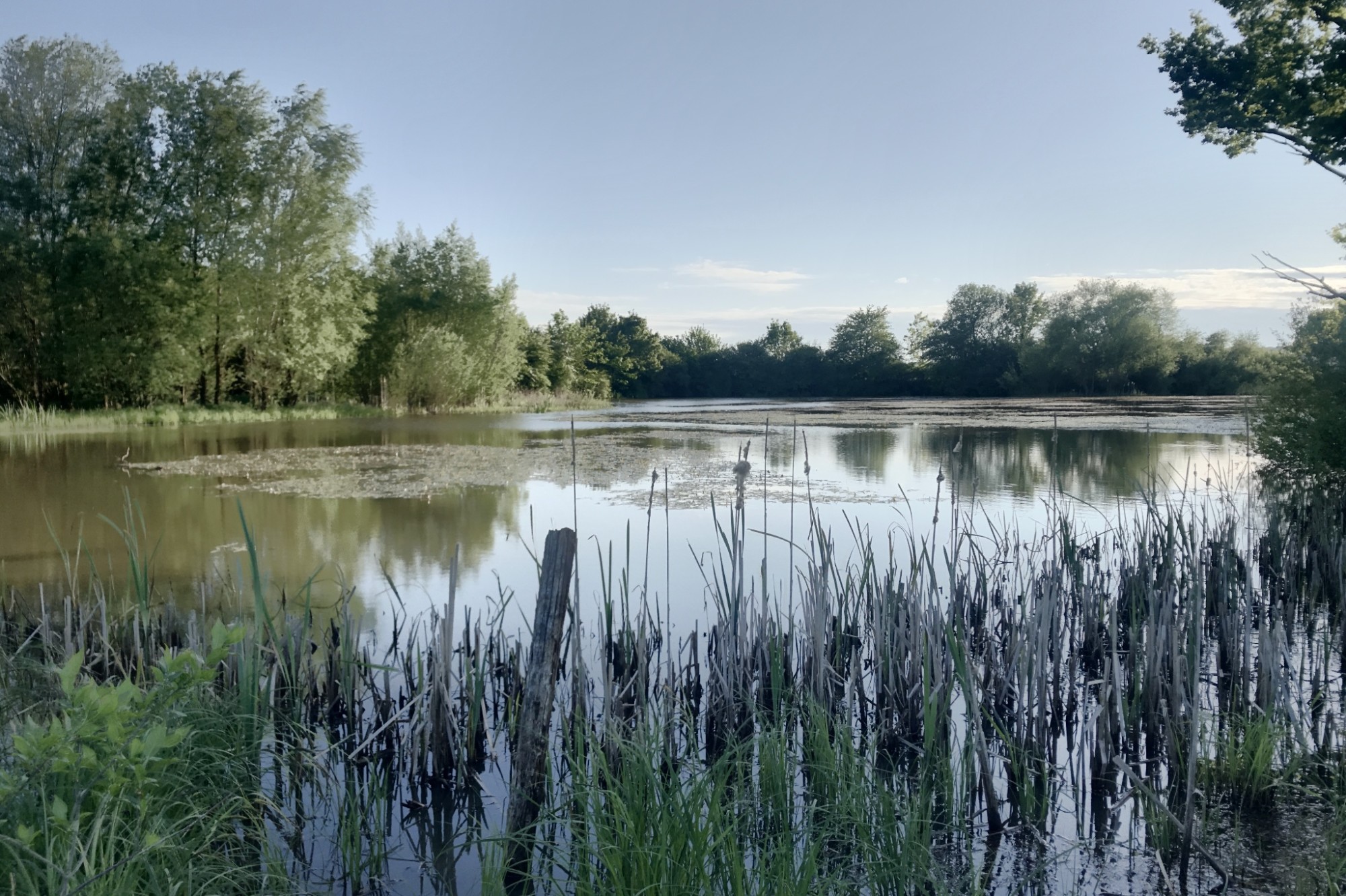 The best hikes and walks around bascharage