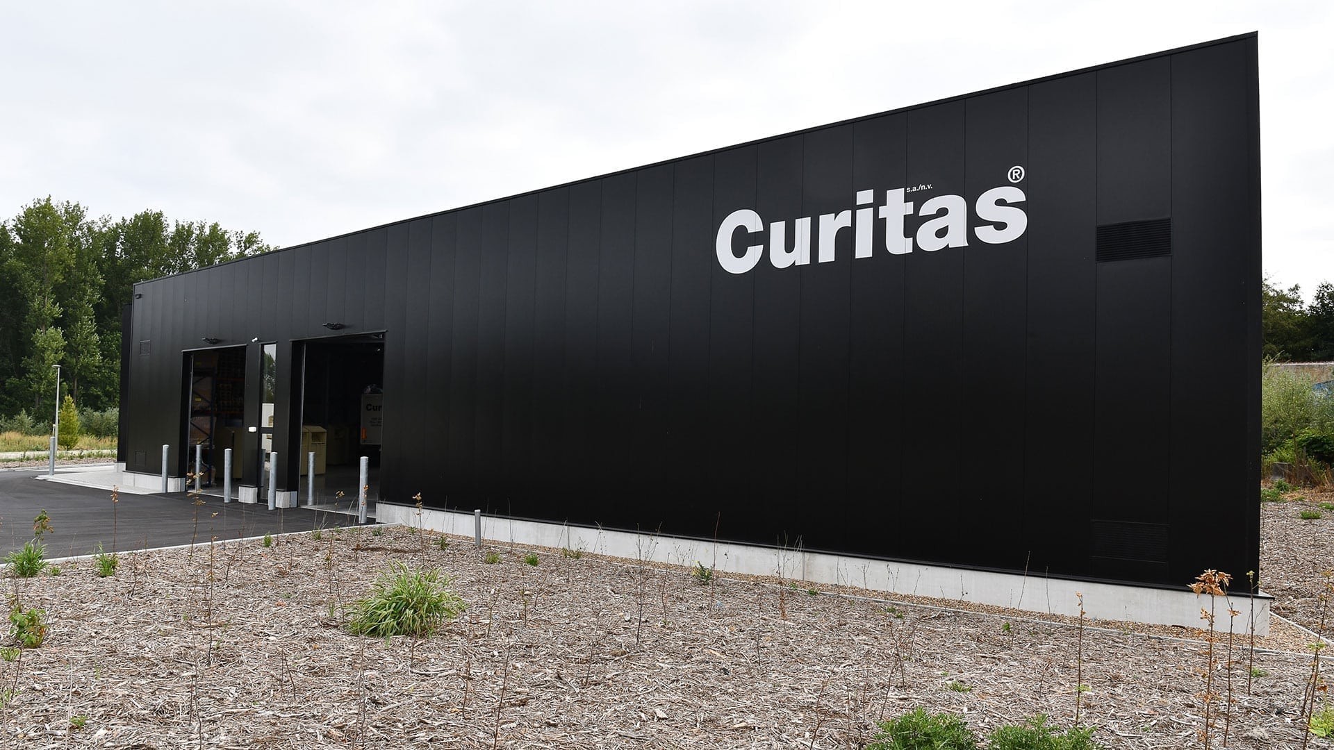 curitas-visual-1