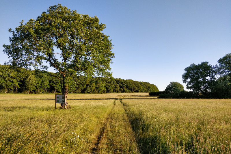 half_width20200528-195904