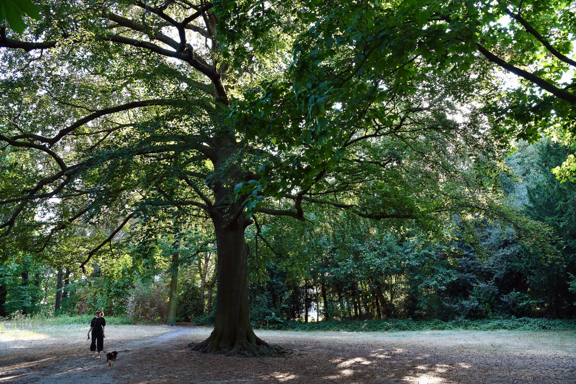 Grand-Yard-genieten-van-groen