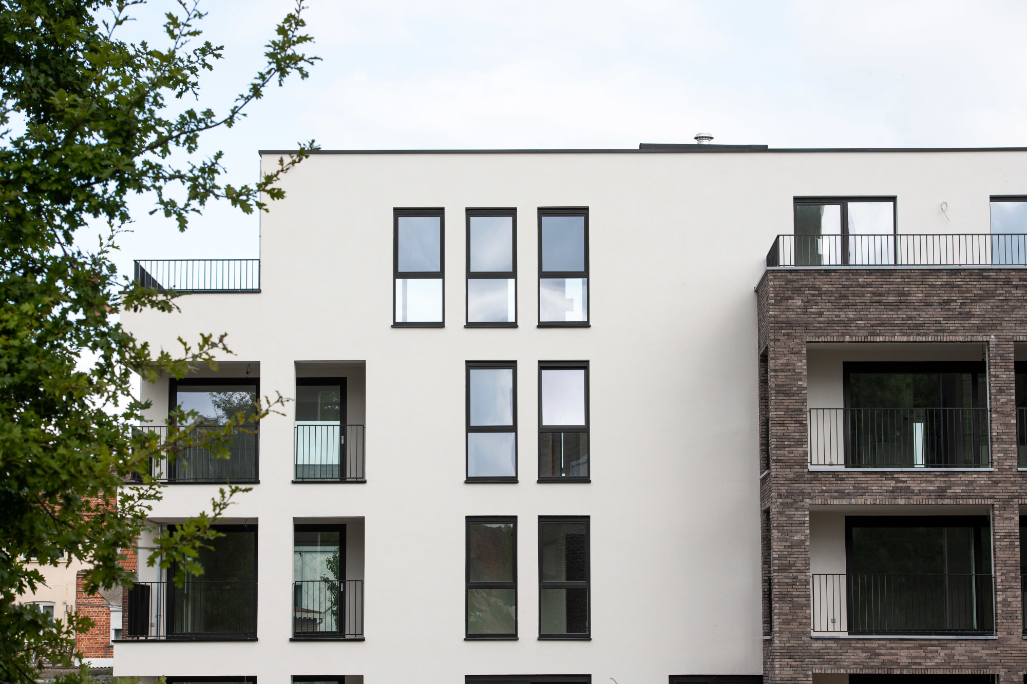 Antonissen_Groendael_0004_6555