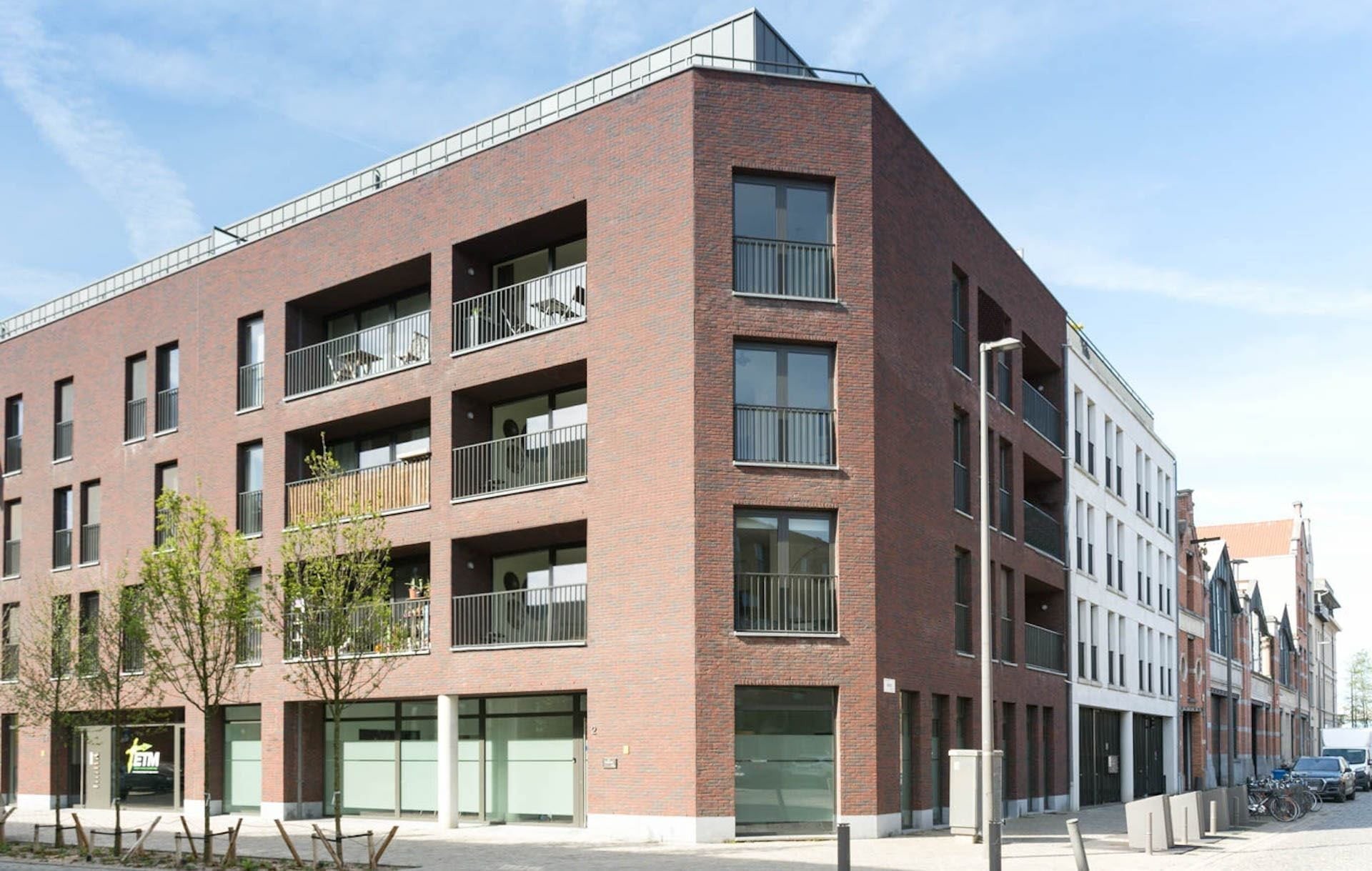 Cadixdok-Header