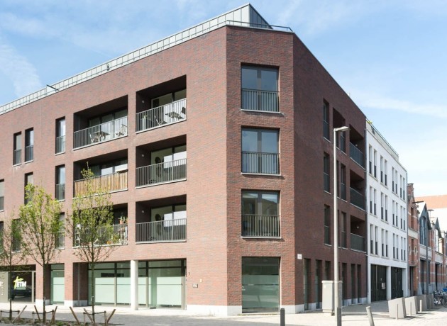 Cadixdok-Header