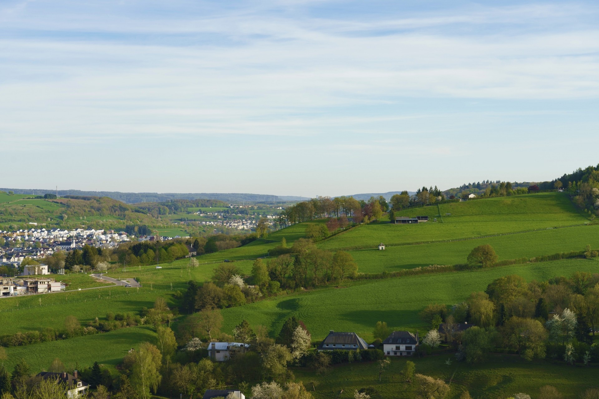 Belmont-visual-1